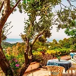 Pool Appartament アパート Forio di Ischia
