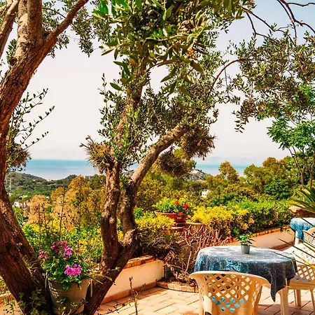 Pool Appartament 公寓 Forio di Ischia