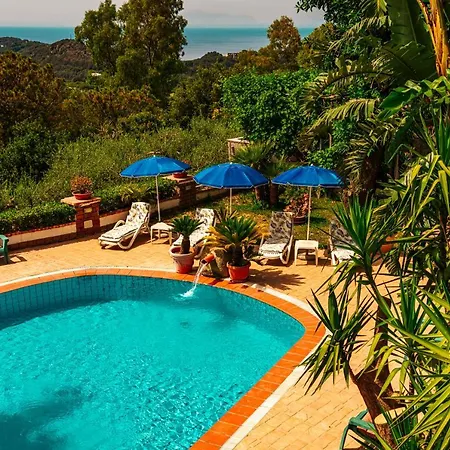 Pool Appartament Forio di Ischia