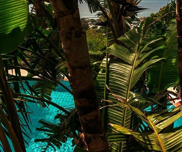 Pool Appartament 公寓 Forio di Ischia