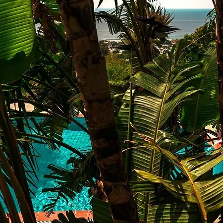 Pool Appartament Apartment Forio di Ischia